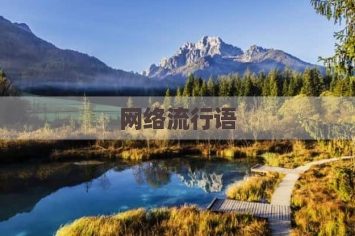 网络流行语