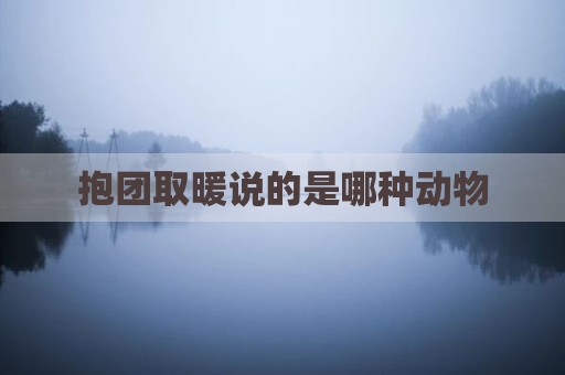 抱团取暖说的是哪种动物