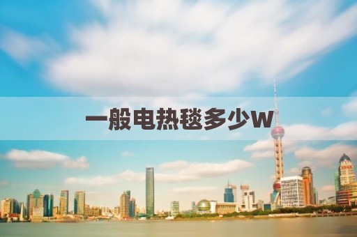 一般电热毯多少W