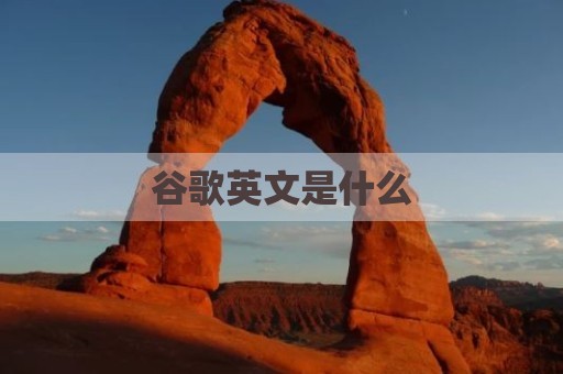 谷歌英文是什么
