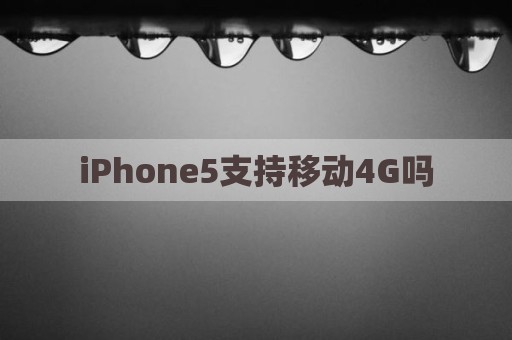 iPhone5支持移动4G吗