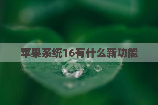 苹果系统16有什么新功能