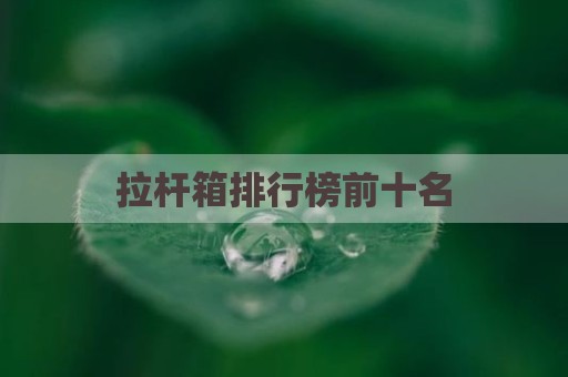 拉杆箱排行榜前十名