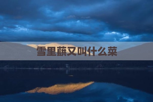 雪里蕻又叫什么菜