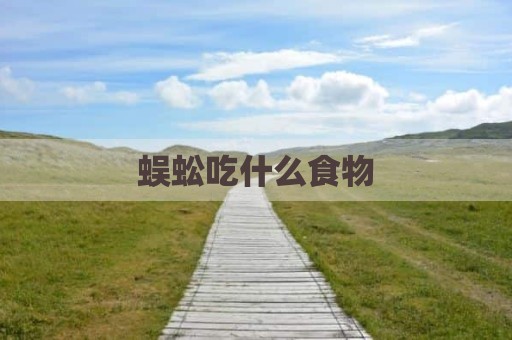 蜈蚣吃什么食物
