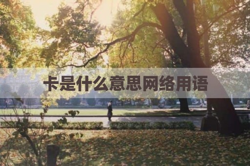 卡是什么意思网络用语
