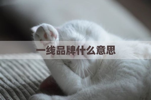 一线品牌什么意思