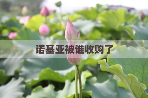 诺基亚被谁收购了