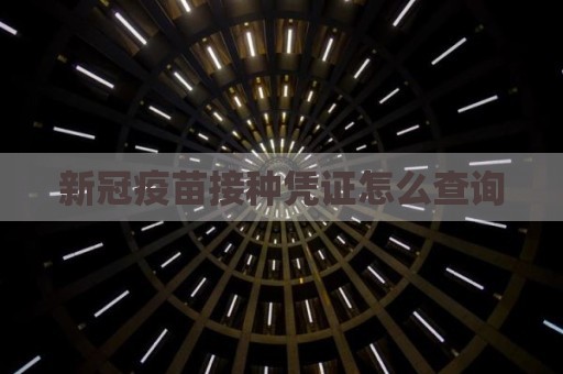 新冠疫苗接种凭证怎么查询