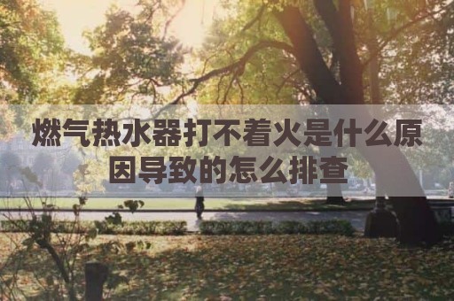 燃气热水器打不着火是什么原因导致的怎么排查