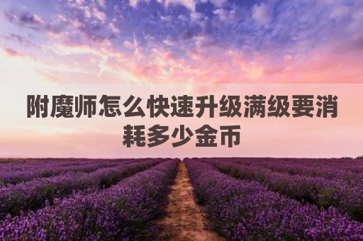 附魔师怎么快速升级满级要消耗多少金币