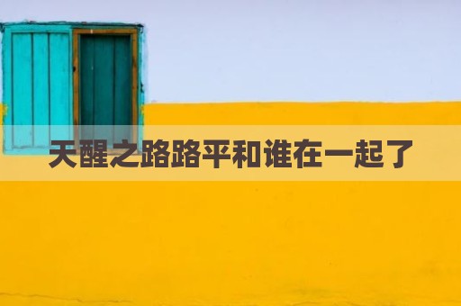 天醒之路路平和谁在一起了