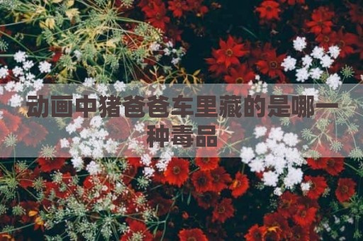 动画中猪爸爸车里藏的是哪一种毒品