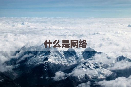 什么是网络