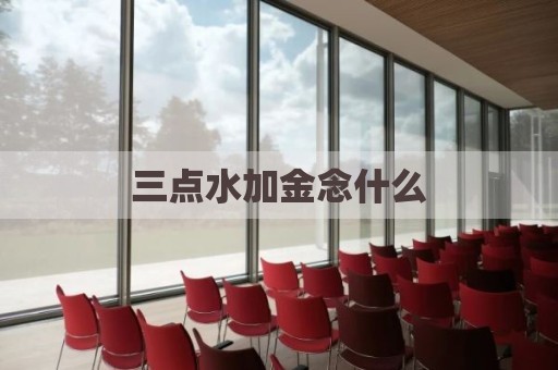 三点水加金念什么