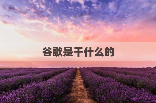 谷歌是干什么的