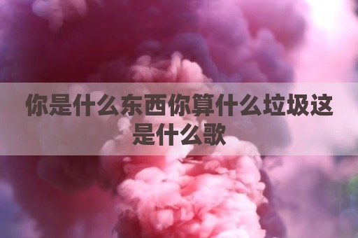 你是什么东西你算什么垃圾这是什么歌