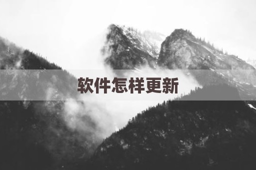 软件怎样更新