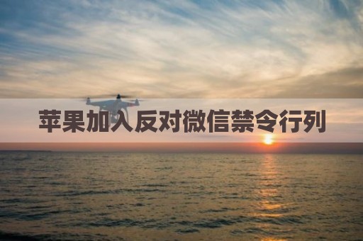 苹果加入反对微信禁令行列