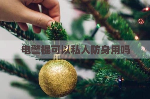 电警棍可以私人防身用吗