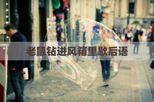 老鼠钻进风箱里歇后语