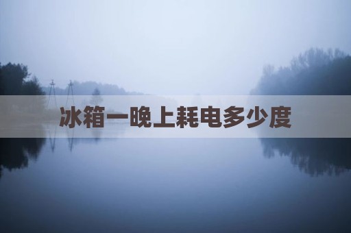 冰箱一晚上耗电多少度