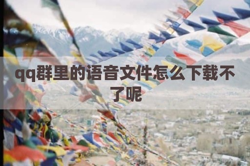 qq群里的语音文件怎么下载不了呢