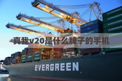 真我v20是什么牌子的手机