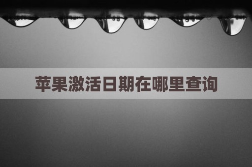 苹果激活日期在哪里查询