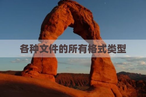 各种文件的所有格式类型