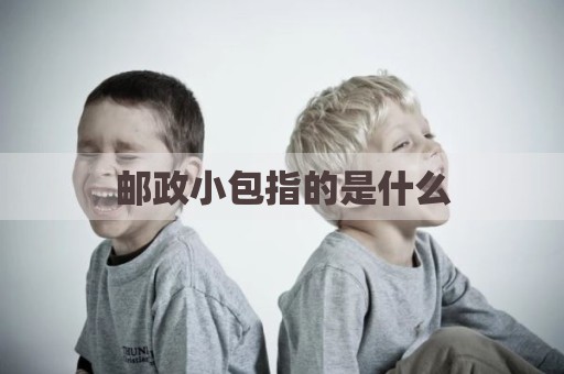 邮政小包指的是什么