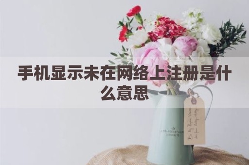 手机显示未在网络上注册是什么意思