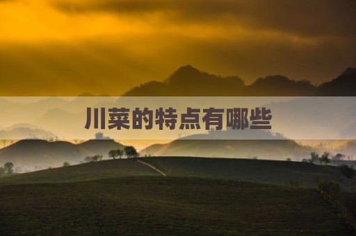 川菜的特点有哪些