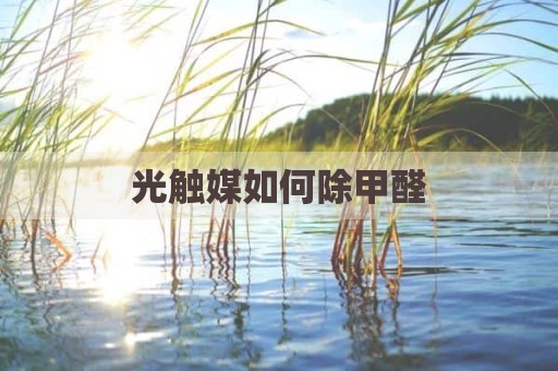 光触媒如何除甲醛
