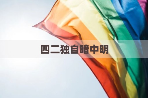 四二独自暗中明