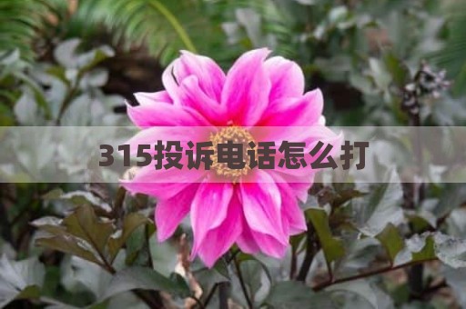 315投诉电话怎么打