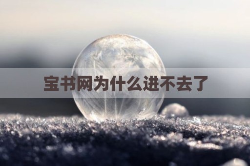 宝书网为什么进不去了