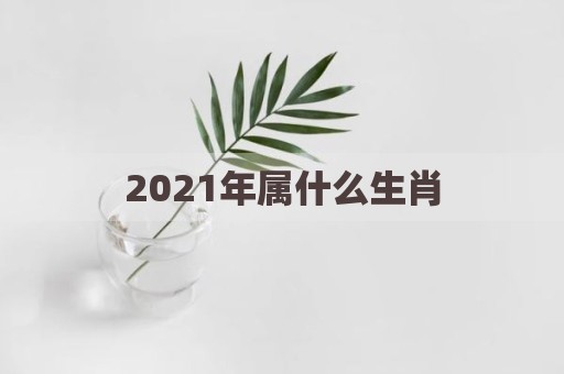 2021年属什么生肖