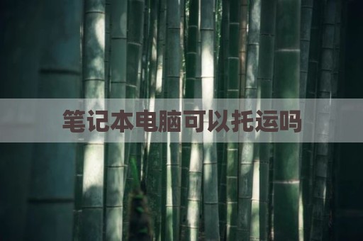 笔记本电脑可以托运吗