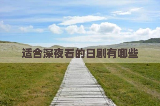 适合深夜看的日剧有哪些