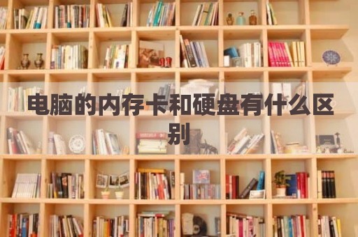 电脑的内存卡和硬盘有什么区别