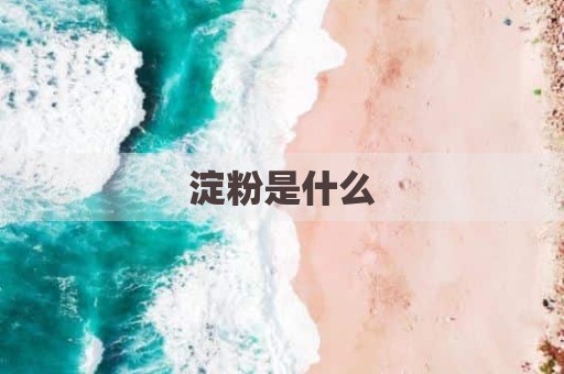淀粉是什么