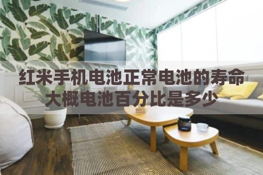 红米手机电池正常电池的寿命大概电池百分比是多少