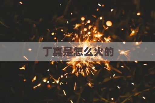 丁真是怎么火的
