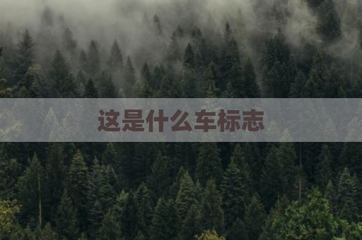 这是什么车标志