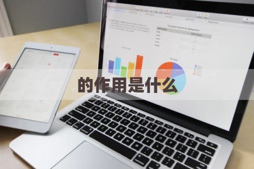 的作用是什么