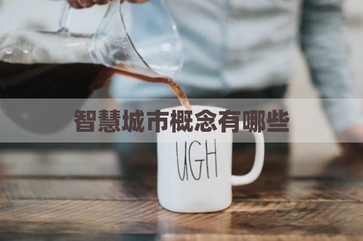 智慧城市概念有哪些