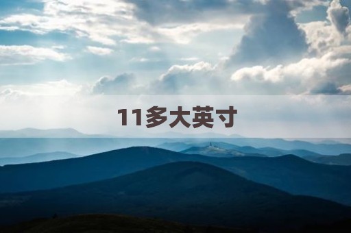 11多大英寸