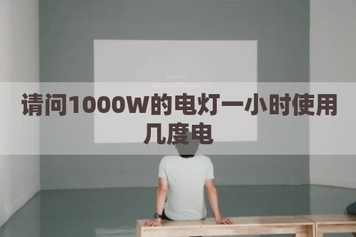 请问1000W的电灯一小时使用几度电