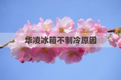 华凌冰箱不制冷原因